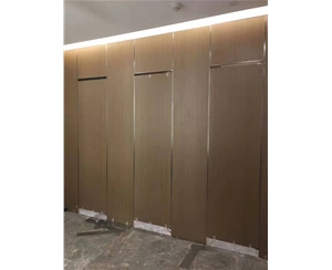 顺德公共卫...